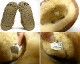 ���� UGG CLASSIC SHORT �ࡼ�ȥ�֡��� US4(22cm����)(��ǥ�����)����š�