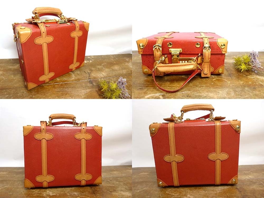 AULANI 新品・未使用　スーツケース　バッグ　コスメボックス AULANI 新品・未使用 スーツケース バッグ コスメボックス
