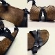 �ݥ�ȥ����� Papillio / �ѥԥꥪ ���ȥ�åץ�����롡38(24.5cm����)(��ǥ�����)����š�