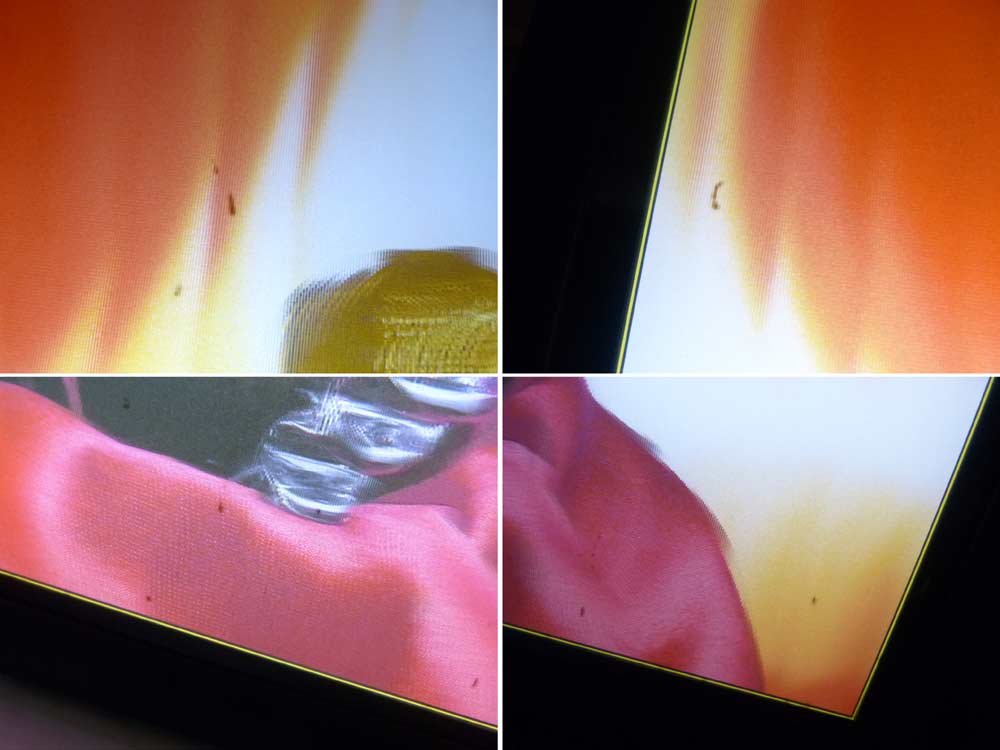 �ڴ����ۥ�ߡ��ޥ륿�� �륤13�� Remy Martin  �ž����� / ������  / ��������顼(̤ȯ��)����š�