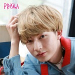 プリシラ グラデーションカラーウィッグ【K-POPマッシュ】CTA-200耐熱  PRISILA フルウィッグ ショート コスプレ ウィック ウイッグ