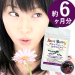 ٥꡼ߥ饯륢 33γ 6ޥå  ƥ ݥեΡ ȥ˥ DHA EPA ץ ǻ ץ  ӥߥ 륷 ͵