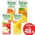 ����� �ȥ��ԥ�����100% 250ml��48�� (24�ܡ�2������) ��ѥå� KIRIN �̽�100�� ���塼��  ���åץ� �ե롼��