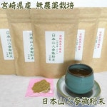 宮崎県産 無農薬栽培 日本山人参微粉末 50g 専用スプーン付 日向当帰 ヒュウガトウキ 無農薬 日本山人参 国産 ポリフェノール 1袋湯呑約100杯分