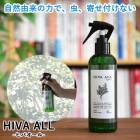 ҥХ ष ॷ к    ҥ ץ졼 ҥΥ   ڥå ̤ Ȣ ָ å