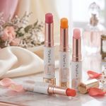 Papilio �ѥԥꥪ �ȥ꡼�ȥ��ȥ�åץ��å��� EX ���� ��åץ��꡼�� ���Ʊ� ��åץ��ƥ��å� �� �ᥤ�� ���Ʊ� �ϥ� �ĥ� ������ ���å��� �͵�