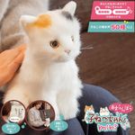 ���襤���ʤ����� ���ޤ���ܻҤͤ������ mini �ߥ� �̤������ ���ܥå� ư�� ���� �İ��� �ڥå� �Ҥɤ��� ����� ��� ���䤷 �Ĥ��� �ץ쥼��� ���ե� ������