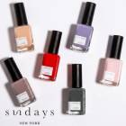 sundays ����ǥ��� �ͥ���ݥ�å��奫�顼 �ޥ˥��奢 �ͥ���ݥ�å��� ����եͥ��� �ͥ��� �ͥ��륫�顼 ��� �İ��� �ʥ����� ��ȯ�� 10-Free ŷ��ͳ����ʬ ����������
