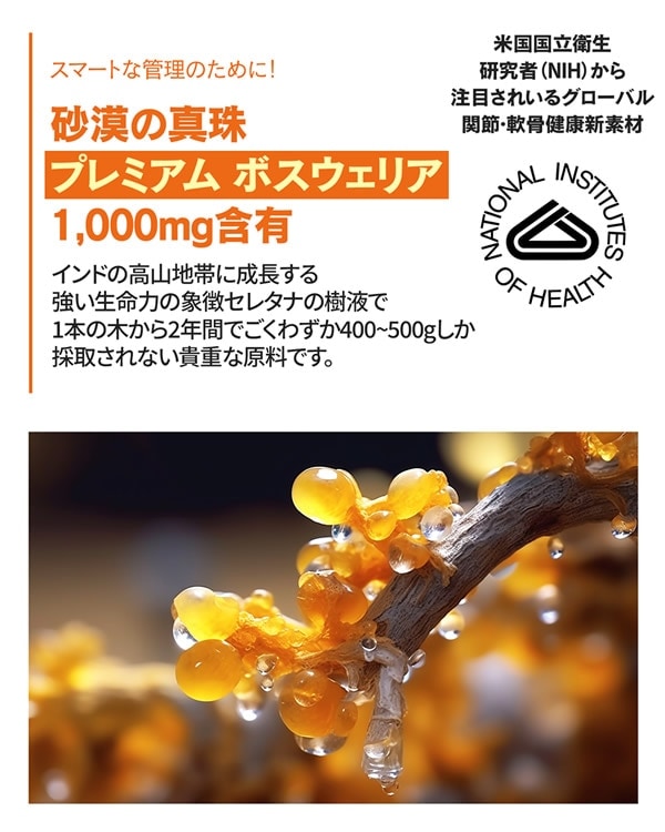 ƥ˥ 135γ 6ĥå GIGANTENIUM gigantenium ݥꥰ륿ߥ Х  MSM 륳ߥ ܥꥢ ץ Х٥å