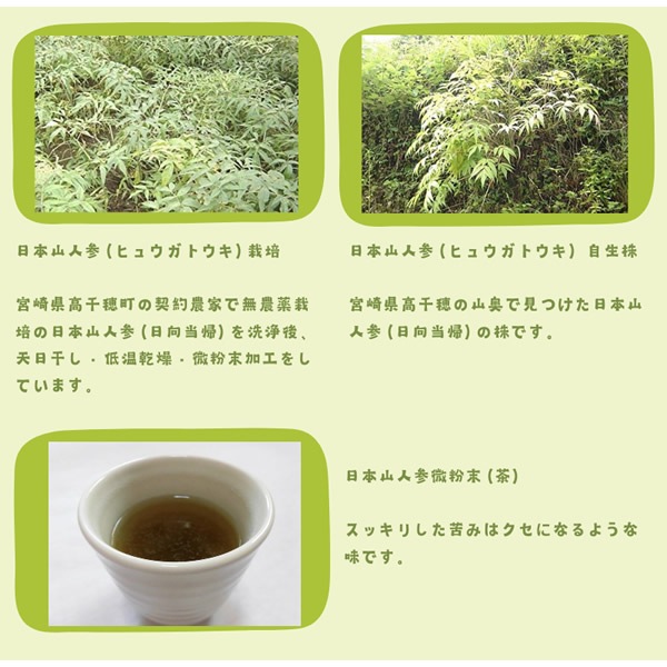 �ܺ긩�� ̵�������� ���ܻ��ͻ���ʴ�� 50g ���ѥ��ס����� 3�ޥ��å� �������� �ҥ奦���ȥ��� ̵���� ���ܻ��ͻ� �� �ݥ�ե��Ρ��� 1��������100��ʬ