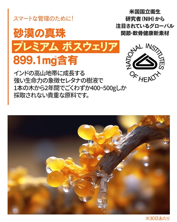 ������ƥ˥��� 135γ GIGANTENIUM gigantenium �ݥꥰ�륿�ߥ�� �Х��� ����� MSM ���륳���ߥ� �ܥ������ꥢ ���ץ���� �Х��٥å�������