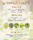 PH����ѥ� �ե��ߥ˥󥦥��å��� 150ml �ǥꥱ���ȥ��������ѥ����� �����