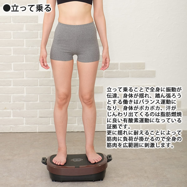 �饤�եե��å� �ȥ졼�ʡ�2Way���ޡ���  �ڥȥ� ͭ���Ǳ�ư �ȥ졼�˥� ��ư �Х�󥹱�ư �ʤ��鱿ư ������������ �ߺ¥��å���� ����ѥ���