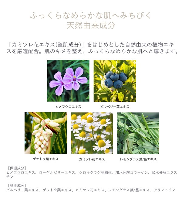 Luara �륢�� �������ƥ��꡼�� Ķ��� ���ƥ��꡼�� �ݼ� ���������饲¿���� �����󥱥������� �����󥯥���ƥ� �������󥰥��� ������ ����ȩ �Ҵ�ȩ �������� ���꡼�ֲ̼��� �ޥ��ǥߥ������ ŷ�������� ���󥰥饹 ���ߥĥ�