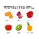 ե롼ĥƥ 4 3ޥå ɥ饤ե롼 ե롼ĥƥ  ƥХå ٤   ץꥳå ٥꡼ åץ  ѥ ۥå  å
