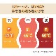 SaiEL ϥɥ奢 Ǯ ð ϥɥ եå ˽   ץ쥼 ե