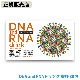 ����������Ź��DNA and RNA�ɥ�� ���� 8g��30���� ������ ��˥� DNA RNA ���ץ���� �򹯿��� �����ꥨ ���� �Ը����ӥ��ߥ�C ���� �����