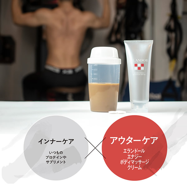 �����ɡ��� ���ʥ����ܥǥ��ޥå��������꡼�� 150g 3�ܥ��å� �ޥå��������꡼�� �������å� �ȥ졼�˥� �ڥȥ� �ե��åȥͥ� ����� �ܥǥ��ᥤ�� ������������