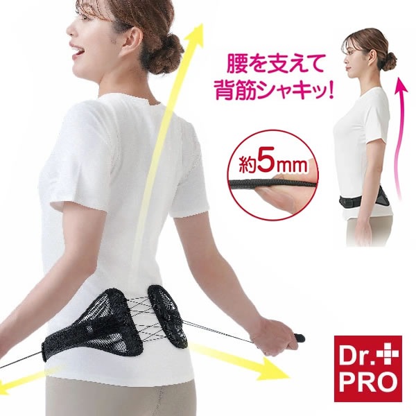 Dr.PRO 㥭åȹ٥ ݡ   ٥ ѥ٥ 륻å ݡ 륻å ˽ Ż Ȼ