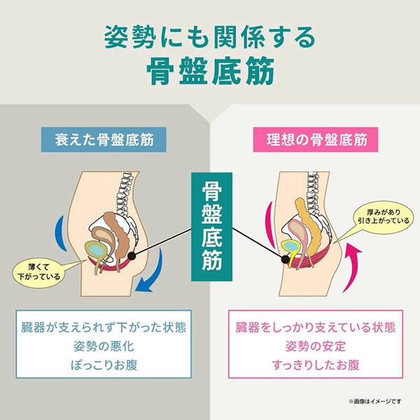 �襬���ꥨ������aya�ƽ� icoelle �������� �ҥåץȡ��� EMS ������� �ȥ졼�˥� �������륢�å� ������ �ڥȥ� �ʤ��鱿ư ���� ���� ����