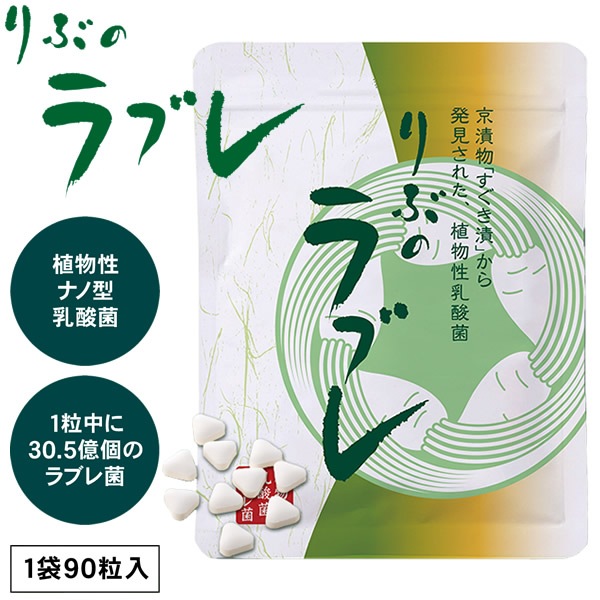 ֤Υ֥ ֥ ʪ  ݳ Ĳ  ץ 򹯿