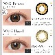 饳 ٤ 1 ͧ åȥǥޥå 1Ȣ1 Candy magic Ȥ  ޥ 14.5mm 顼󥿥 ץ