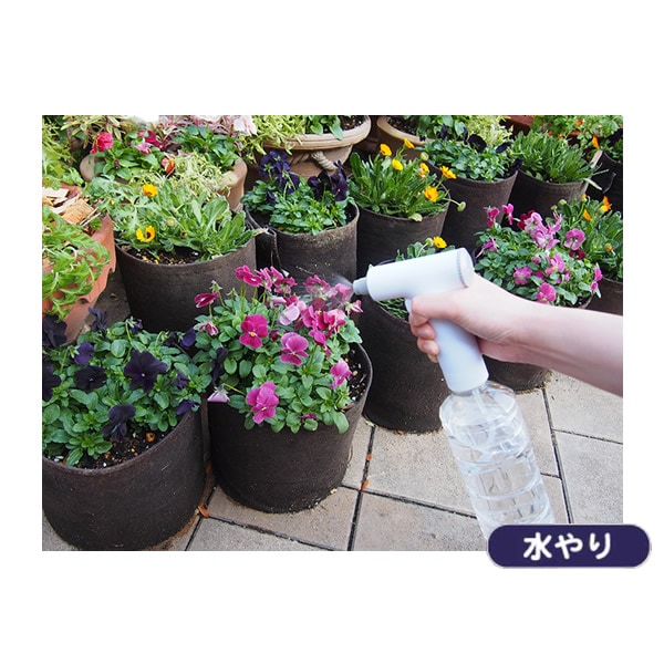 ��ư�ڥåȥܥȥ륹�ץ졼 �ݽ� ���� �٥��� ���å� �� �ָ� ���� �����ǥ˥� ���Ӽ� �����Ӽ� ��ñ ���� ̸�᤭ �ߥ���