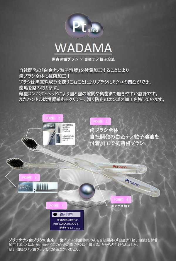 ����������Ź��Ptnano ��������֥饷 WADAMA ����� �ץ���ʥʥλ��֥饷 ���᤭ ������ �ʥ� �ץ���� ��֥饷 ���� �ɽ� �� ���� �ޥå����� �����¥��� �֥�å��� ����