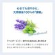 �������礦�֤ʤ�� ������󥰥ܥǥ��ߥ��� 100ml �䴶���ץ졼 ������ߥ��� �����륹�ץ졼 �Ҥ��� �ܥǥ��ߥ��� �ܥǥ�������ߥ��� ����ͳ�� ���� ��٥���� �ߥ�� �㥢�륳����