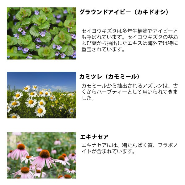 �������礦�֤ʤ�� ɴǯ�Ϥ��ߤĤΤɰ� �椺̣/��ժ����̣ (�쥶�����åɥϥˡ� �� �ϡ��֥����ǥ�) 3�ĥ��å� �Τɰ� �쥶�����åɥϥˡ� �ϡ��֥����ǥ� �Ϥ��ߤ� �Υ󥷥奬�� ��̣���� ����ȥե꡼ �����