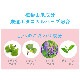 NAKICO �ʥ��� ���� �ǥ��ɥ��ȥեåȥߥ��� 10ml ���������� ­�� ���� �省�� ���ȥ쥹�� ���� �к� �ǥ��ɥ��� �����ä� �Ҷ� �׷� ���ˡ����� �֡��� �����ץ��ԥ�����ե��Ρ��� ���������