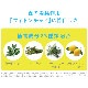 NAKICO ʥ  ǥɥȥեåȥ꡼ 30g  ­  省 ȥ쥹  к ǥɥ ä Ҷ ׷ ˡ ֡ ץԥեΡ 