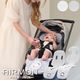 �������2 �ץ�ߥ��� S �٥ӡ����� �����륷���� �ե����դ� ���� ������ ������ ������󥰥ޥå� ���㥤��ɥ����� �֤���� �Ҷ� �뤵�к� ��� ������ ���ޥ���� ���Ф��� ι�� ���� ���꡼��ϥ���