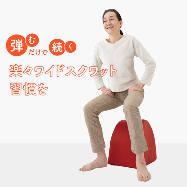 �磻�ɥ�����åȥۥåѡ� ������å� �ڥȥ� ������������ ���å���� ��ư �������å� ���� ���ȥ�å� �������� ��Ⱦ�� ���� ΢��� ���� ������