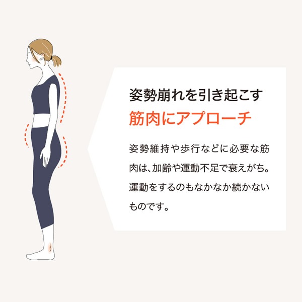 �磻�ɥ�����åȥۥåѡ� ������å� �ڥȥ� ������������ ���å���� ��ư �������å� ���� ���ȥ�å� �������� ��Ⱦ�� ���� ΢��� ���� ������