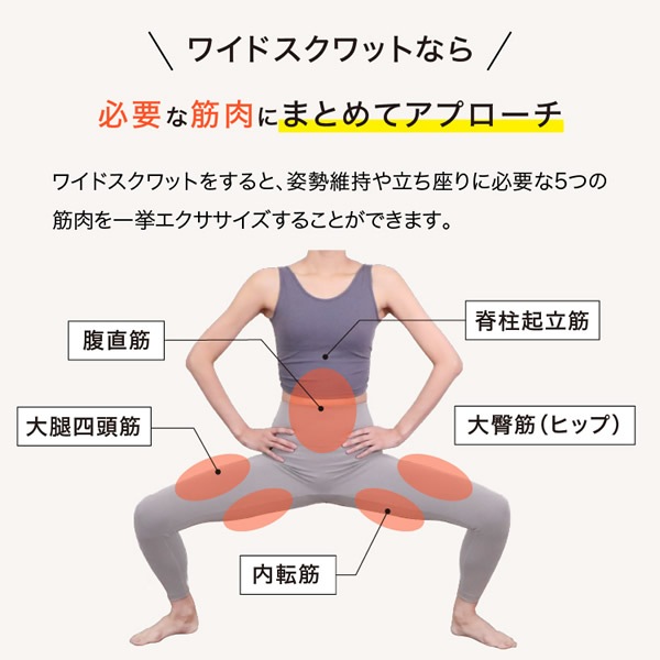 �磻�ɥ�����åȥۥåѡ� ������å� �ڥȥ� ������������ ���å���� ��ư �������å� ���� ���ȥ�å� �������� ��Ⱦ�� ���� ΢��� ���� ������