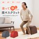 �磻�ɥ�����åȥۥåѡ� ������å� �ڥȥ� ������������ ���å���� ��ư �������å� ���� ���ȥ�å� �������� ��Ⱦ�� ���� ΢��� ���� ������
