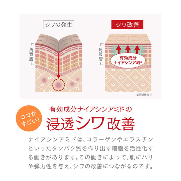 NAKICO �ʥ��� ���� ��󥯥륯�꡼�� 25g ���������� ���� ͽ�� ���� ���� ���Ф��� ���� ���꡼�� �����󥱥� �ʥ������󥢥ߥ� �����������������ꥦ�� �ҥ������� ���顼����