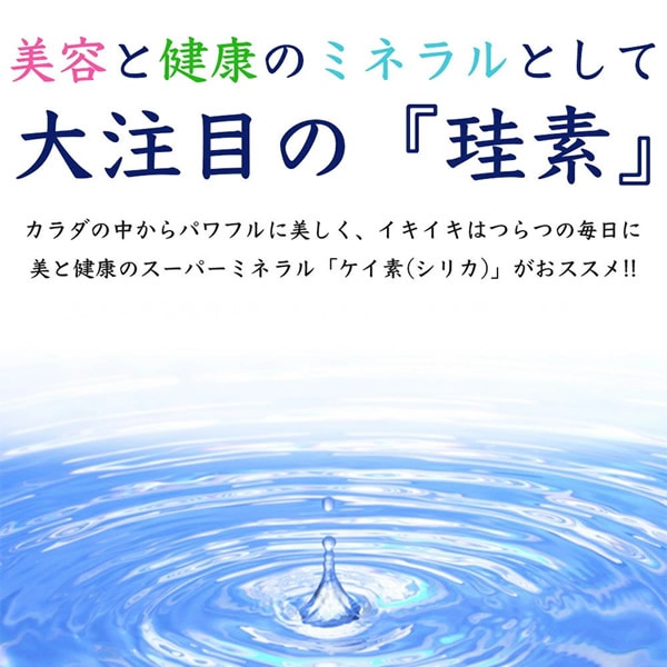 umoǻ���ϱ� �徽�ε��� ���Υޥȥ�å������� 500ml ������ ���ꥫ ���� �ߥͥ�� ���ꥫ�� ������ ������ ���� ��