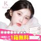 ��2Ȣ������1Ȣ�ץ쥼��ȡ���Kaica ������ 1Ȣ10���3Ȣ���å� ���饳�� ������� 14.2mm ���ǡ� 1day �٤ʤ� �٤��� ���顼���󥿥��� ���󥿥��ȥ��