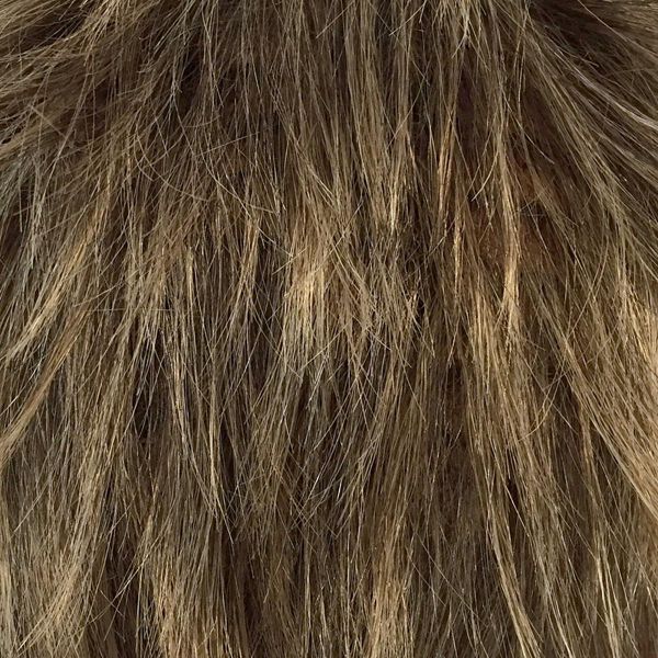 ��ѥ�ɥ����� ���� 5777 �ǥ����󥷥硼��(�ʥ�����֥����)  HOMME �ե륦���å� �����ץ� �����å� �����å� ���