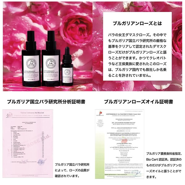����ƥ䥪�����˥å� �֥륬�ꥢ������� ��������� 100ml ���ѿ� ���������������� �֥륬�ꥢ������� �����󥱥� ������ ��������� �ݼ� �ӷꥱ�� �����к�
