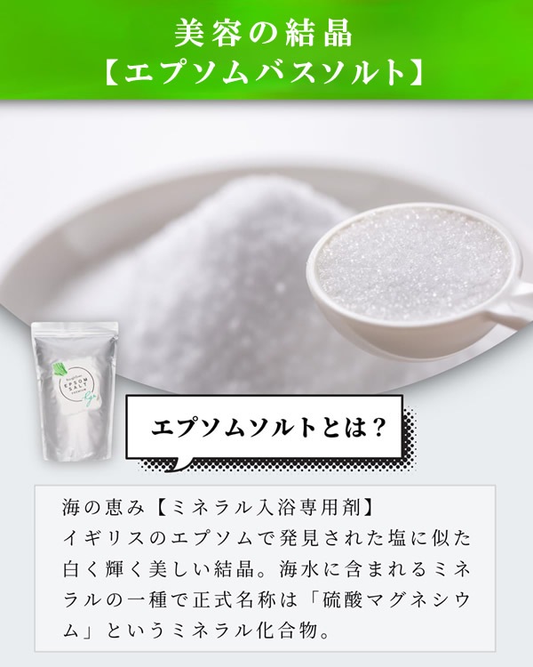 ��ե���� ���ץ��ॽ��� 2kg 2�ĥ��å� ���� ����Ϥ �ߥͥ�� �Х������ β���ޥ��ͥ����� ���� �ݼ� ���å��� RoughGren