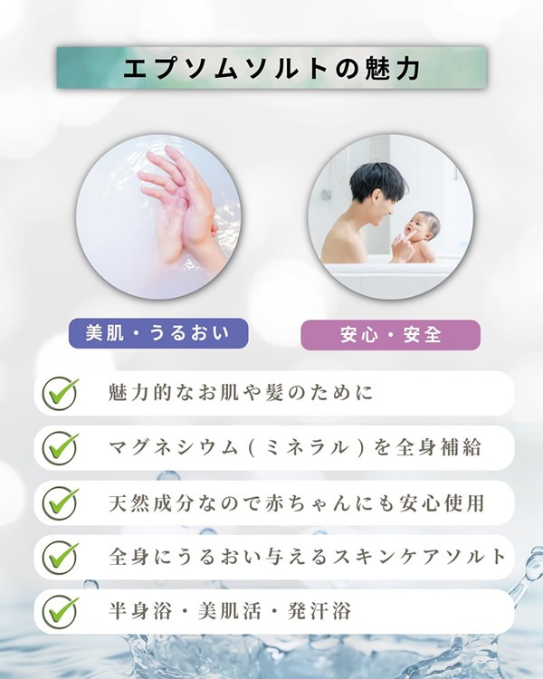 ��ե���� ���ץ��ॽ��� 2kg 2�ĥ��å� ���� ����Ϥ �ߥͥ�� �Х������ β���ޥ��ͥ����� ���� �ݼ� ���å��� RoughGren