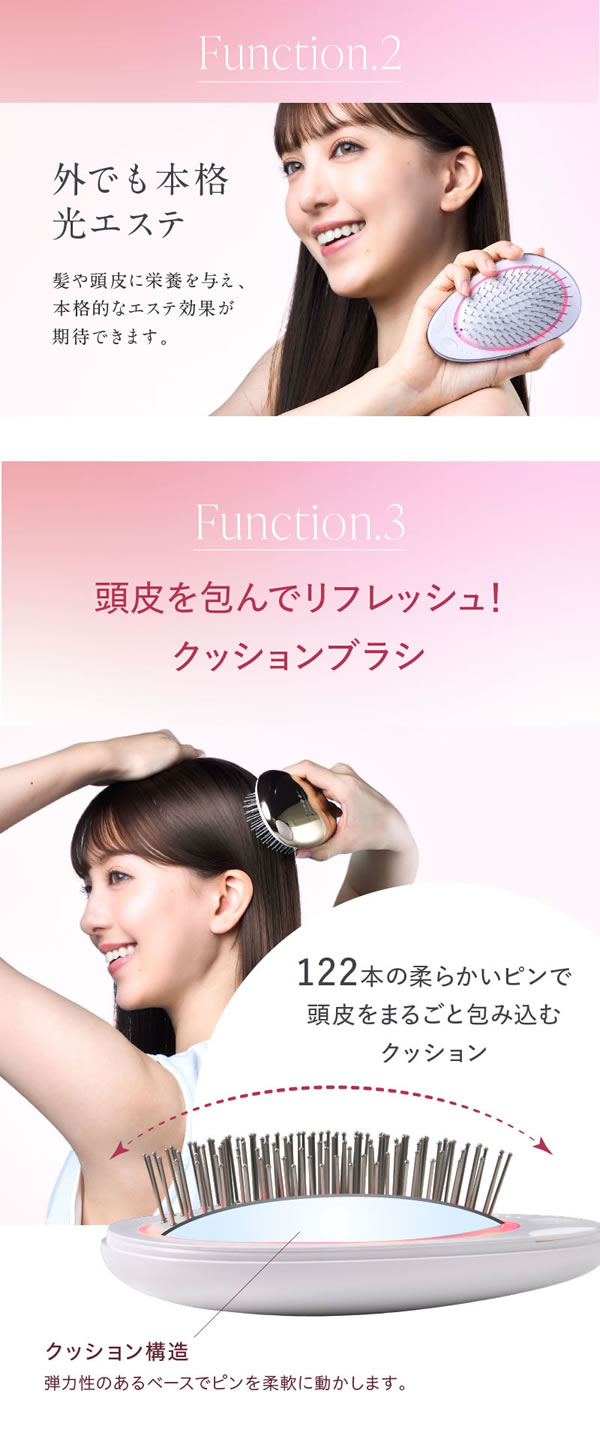 WAVEWAVE EMS ֥饷 ߥ Ƭ饱 ޥå å֥饷 EMS ޥ ŵ ޥʥ ֥å奨 ѥ  EMS Brush Air mini