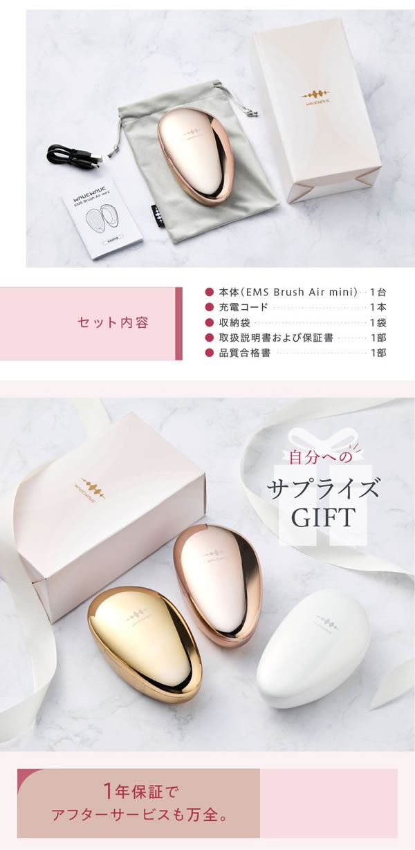 WAVEWAVE EMS ֥饷 ߥ Ƭ饱 ޥå å֥饷 EMS ޥ ŵ ޥʥ ֥å奨 ѥ  EMS Brush Air mini