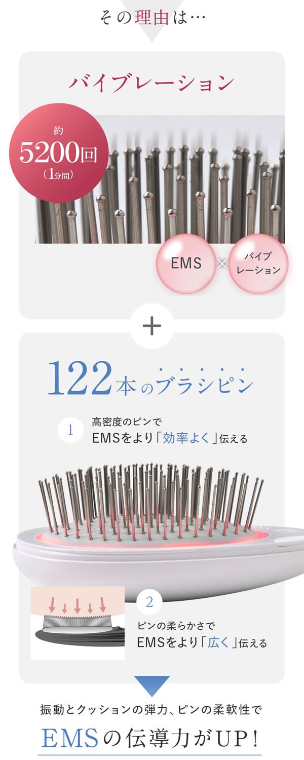 WAVEWAVE EMS ֥饷 ߥ Ƭ饱 ޥå å֥饷 EMS ޥ ŵ ޥʥ ֥å奨 ѥ  EMS Brush Air mini
