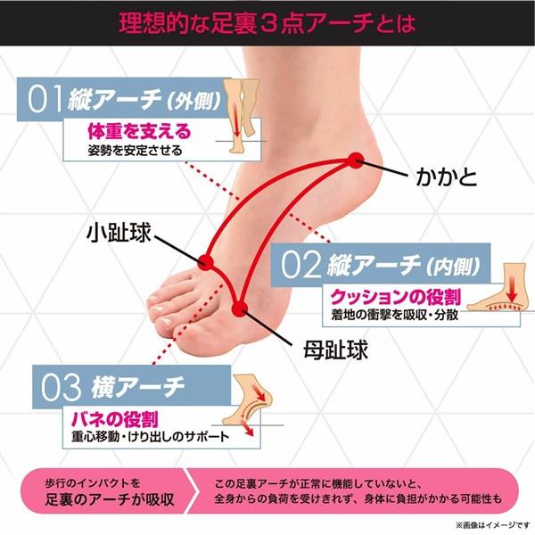 PosfiT �ϥ��֥�åɥ�����  EMS �ȥ졼�˥� ��ư �ʤ��� �������å� ���ݡ����� ���� ���� ­���� ������ ��ȥ� ���� ��� �� ����� ­΢ ��������� HYBRID ARCH