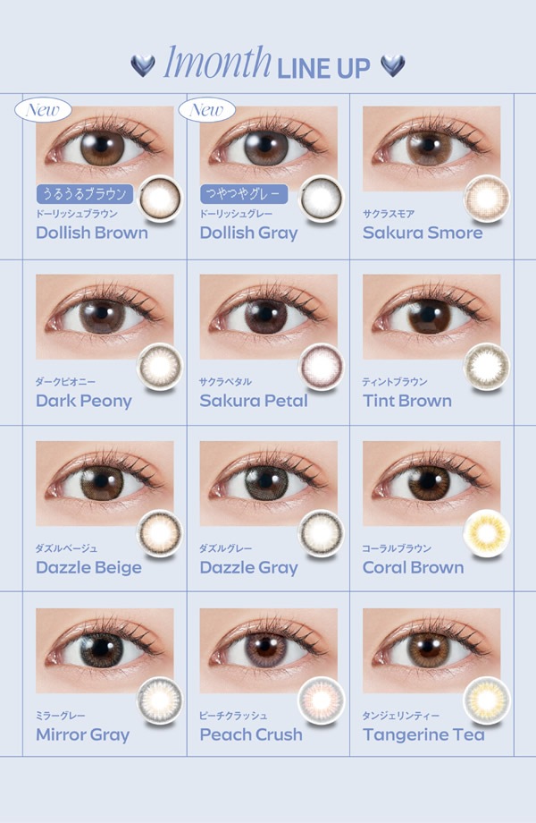 ��饯 �ޥ󥹥꡼ 1Ȣ2��  ���饳�� �ޥ󥹥꡼ 14.2mm 1month �٤��� �٤ʤ� ���ƺ��� �ץ��ǥ塼�� ���󥿥���