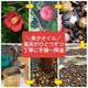 ȱ���� ���ؼ��إ�������ߥ��� 60ml �إ������� ���� �إ����� �ĥХ��� ���绺 ������� ���쥤��� �ĥХ������� ����Х� �ץ���ʥʥΥ������� Ƭ�饱�� �إ��ߥ��� ���ƥ����� �ݼ� �ĥ�Ф� ���᡼���佤 �ڤ��� ���� �����佤 �إإ�������